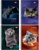 фото Записная книжка А6 60л. на гребне "Котик"