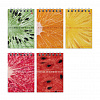 фото Блокнот А7 40л гребень "Exotic fruits" клетка